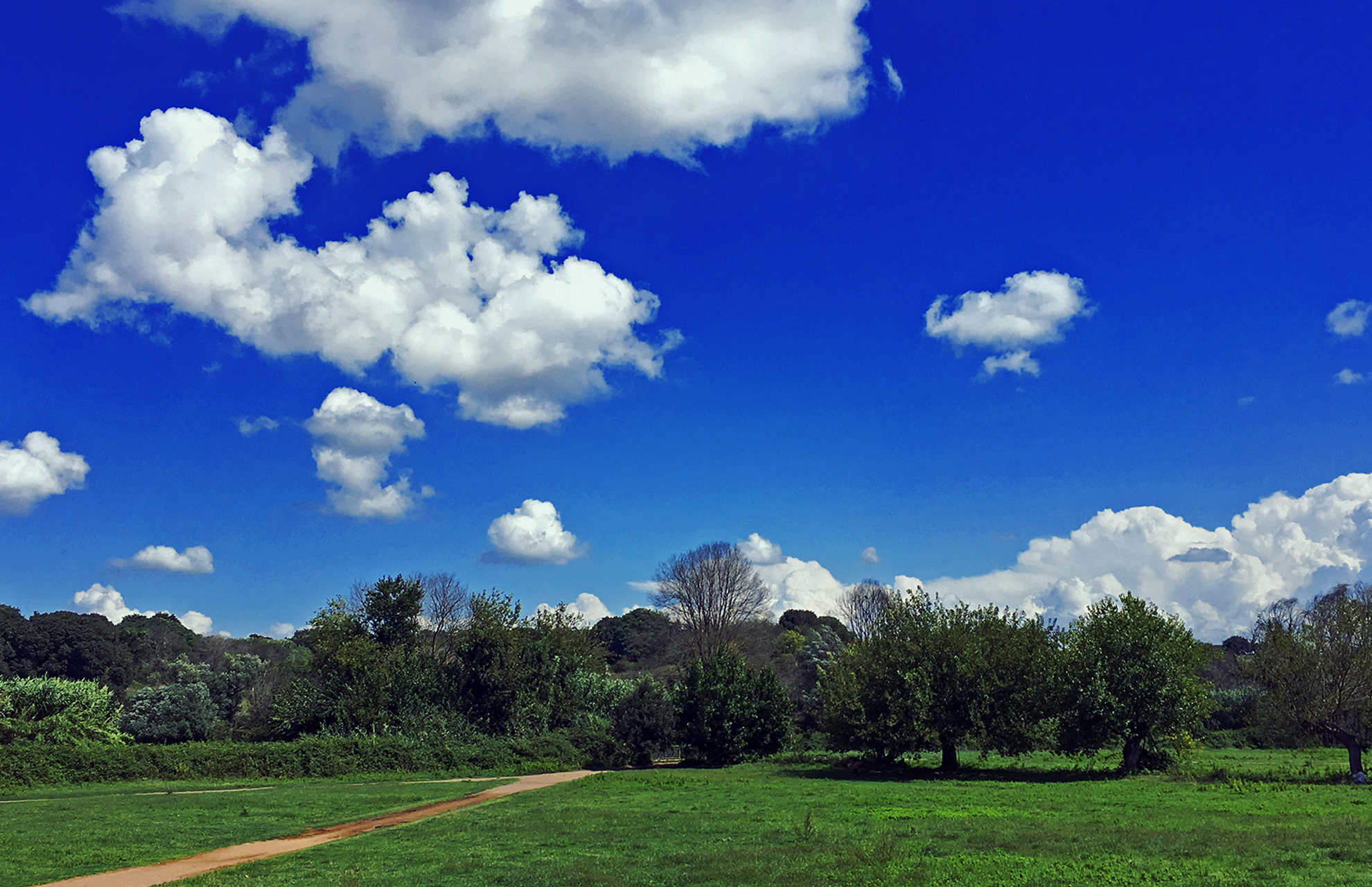 Come dare colore e vivacità alle tue foto con Photoshop